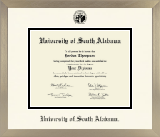 University of South Alabama diploma frame - Icon in Light Champagne