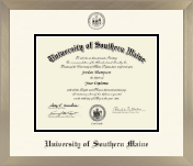 University of Southern Maine diploma frame - Icon in Light Champagne