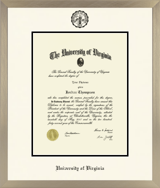 University of Virginia diploma frame - Icon in Light Champagne