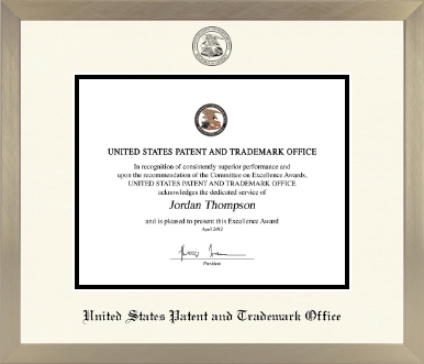US Patent and Trademark Office diploma frame - Icon in Light Champagne