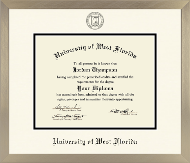 University of West Florida diploma frame - Icon in Light Champagne