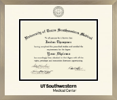 University of Texas Southwestern Medical Center diploma frame - Icon in Light Champagne