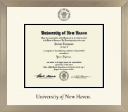 University of New Haven diploma frame - Icon in Light Champagne