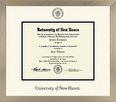 University of New Haven diploma frame - Icon in Light Champagne