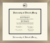 University of Detroit Mercy diploma frame - Icon in Light Champagne