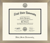 Utah State University diploma frame - Icon in Light Champagne
