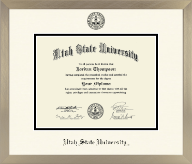 Utah State University diploma frame - Icon in Light Champagne