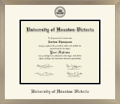 University of Houston - Victoria diploma frame - Icon in Light Champagne