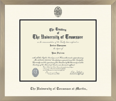 The University of Tennessee Martin diploma frame - Icon in Light Champagne