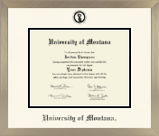 University of Montana Missoula diploma frame - Icon in Light Champagne