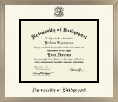 University of Bridgeport diploma frame - Icon in Light Champagne
