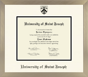 University of Saint Joseph in Connecticut diploma frame - Icon in Light Champagne
