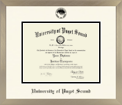 University of Puget Sound diploma frame - Icon in Light Champagne