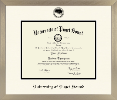 University of Puget Sound diploma frame - Icon in Light Champagne