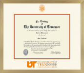 The University of Tennessee Health Science Center Memphis diploma frame - Icon in Chardonnay