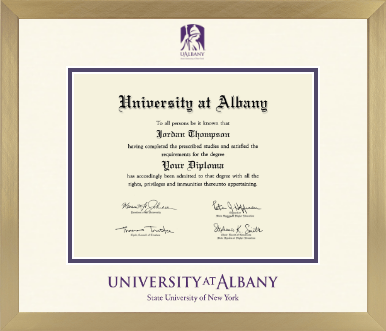 University at Albany State University of New York diploma frame - Icon in Chardonnay
