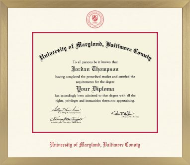 University of Maryland, Baltimore County diploma frame - Icon in Chardonnay