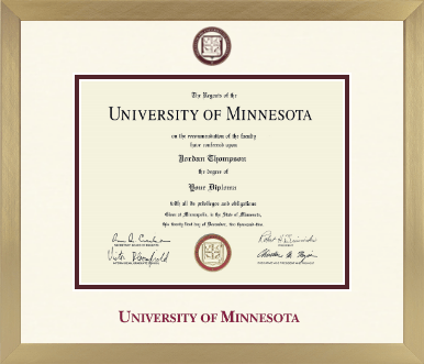 University of Minnesota diploma frame - Icon in Chardonnay