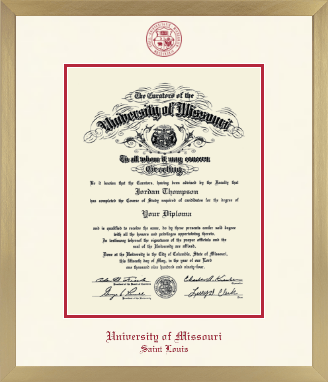 University of Missouri Saint Louis diploma frame - Icon in Chardonnay