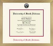 University of South Alabama diploma frame - Icon in Chardonnay