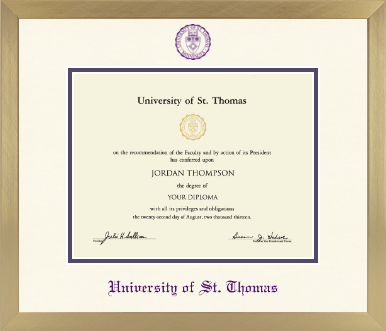 University of St. Thomas diploma frame - Icon in Chardonnay