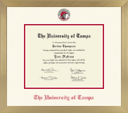 University of Tampa diploma frame - Icon in Chardonnay