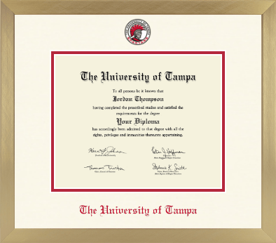 University of Tampa diploma frame - Icon in Chardonnay