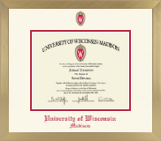 University of Wisconsin Madison diploma frame - Icon in Chardonnay