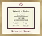 University of Montana Missoula diploma frame - Icon in Chardonnay