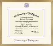University of Bridgeport diploma frame - Icon in Chardonnay