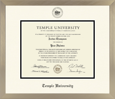 Temple University diploma frame - Icon in Light Champagne