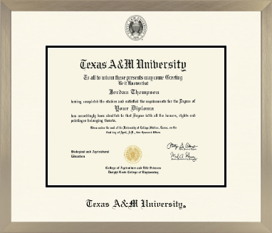 Texas A&M University diploma frame - Icon in Light Champagne
