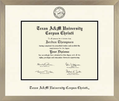Texas A&M University Corpus Christi diploma frame - Icon in Light Champagne