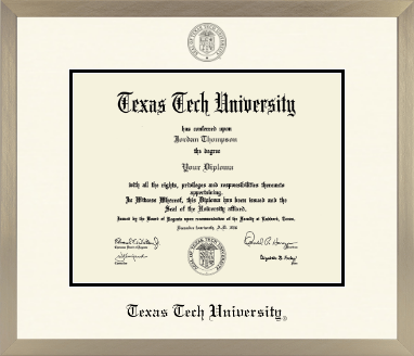 Texas Tech University diploma frame - Icon in Light Champagne