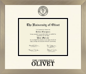 The University of Olivet diploma frame - Icon in Light Champagne
