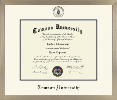Towson University diploma frame - Icon in Light Champagne
