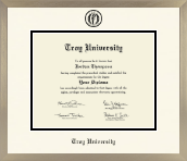 Troy University diploma frame - Icon in Light Champagne