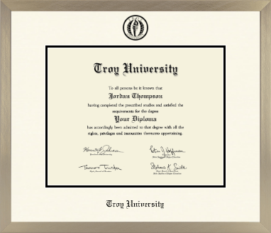 Troy University diploma frame - Icon in Light Champagne