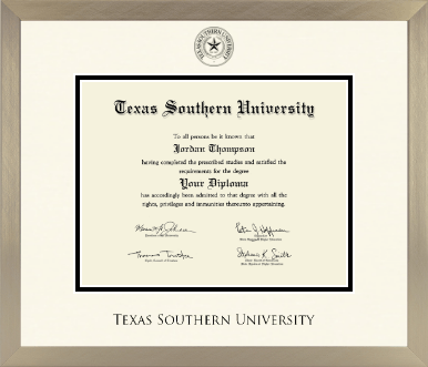 Texas Southern University diploma frame - Icon in Light Champagne