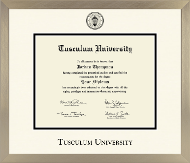 Tusculum University diploma frame - Icon in Light Champagne