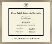 Texas A&M University Kingsville diploma frame - Icon in Light Champagne