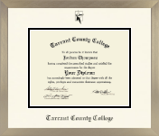 Tarrant County College diploma frame - Icon in Light Champagne