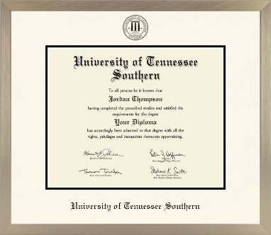 University of Tennessee Southern diploma frame - Icon in Light Champagne