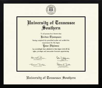 University of Tennessee Southern diploma frame - Icon in Gotham