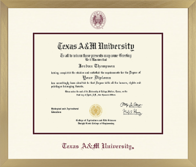 Texas A&M University diploma frame - Icon in Chardonnay