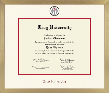 Troy University diploma frame - Icon in Chardonnay