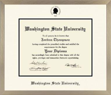 Washington State University diploma frame - Icon in Light Champagne