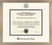 Wellesley College diploma frame - Icon in Light Champagne