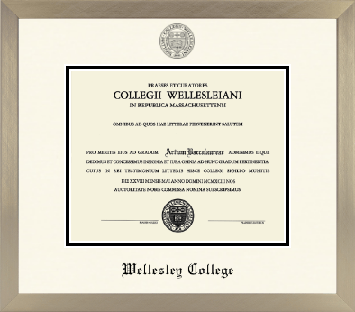 Wellesley College diploma frame - Icon in Light Champagne