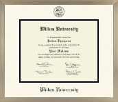 Wilkes University diploma frame - Icon in Light Champagne